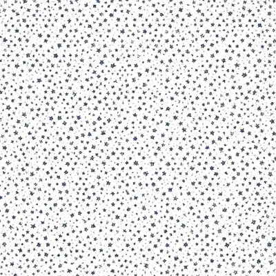 Small Star Scatter in Navy