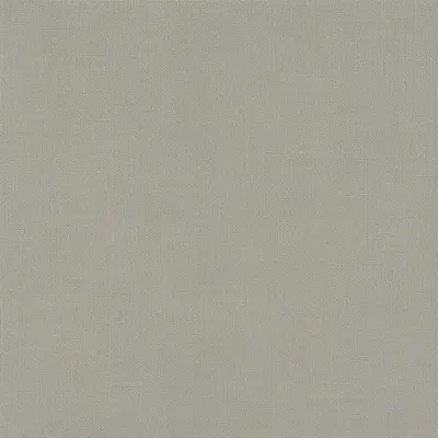 Canvas Texture in Warm Grey