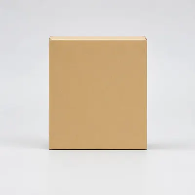 Blank Cardboard Box