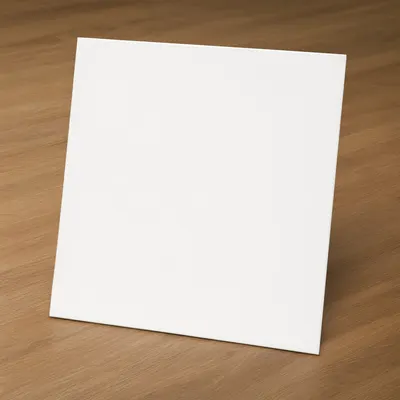 Blank Vinyl Record Sleeve