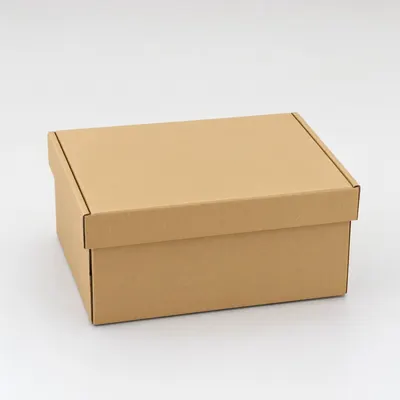 Blank Kraft Cardboard Box
