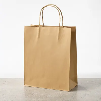 Blank Kraft Paper Bag