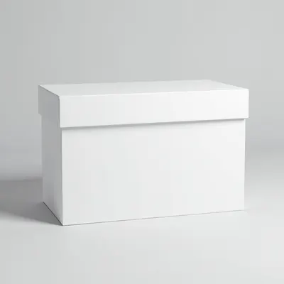 Blank Shoe Box