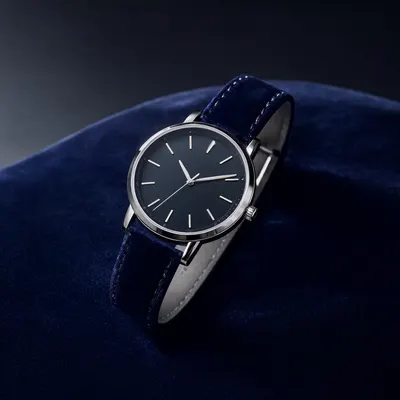 Elegant Watch on Velvet