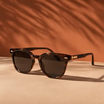 Sunglasses with Palm Shadows