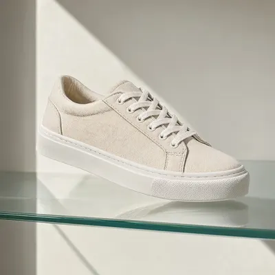 Sneaker on a Glass Shelf