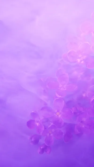 Lilac Mist Gradient in a soft palette