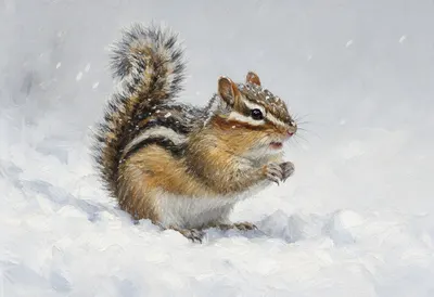 Chipmunk in falling snow Oil Painting