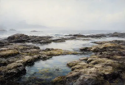 สระน้ำบนชายฝั่งหินในภาพวาดสีน้ำมันหมอกอ่อน