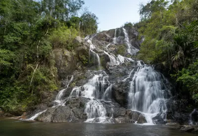 Rainforest Waterfall