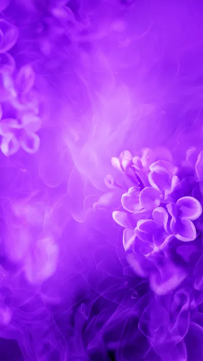 Lilac Mist Gradient
