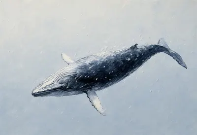 Humpback Whale in falling snow Oil Painting