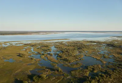 River Delta From Above in warm summer light