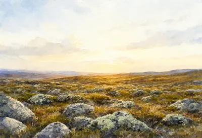 ทุนดรากับไลเคนสโตนในเวลาทองสีน้ำ