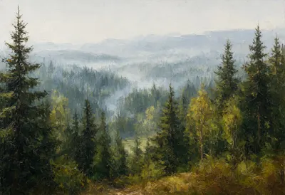 Boreal Forest From Above in soft mist Oil Painting
