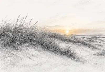 Dune Grass At Sunset Pencil Sketch