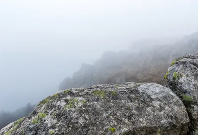Lichen On Granite in soft mist