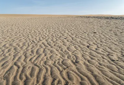 Sand Ripple Patterns after rain