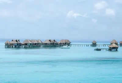 Bora Bora Overwater in soft mist Digital Illustration