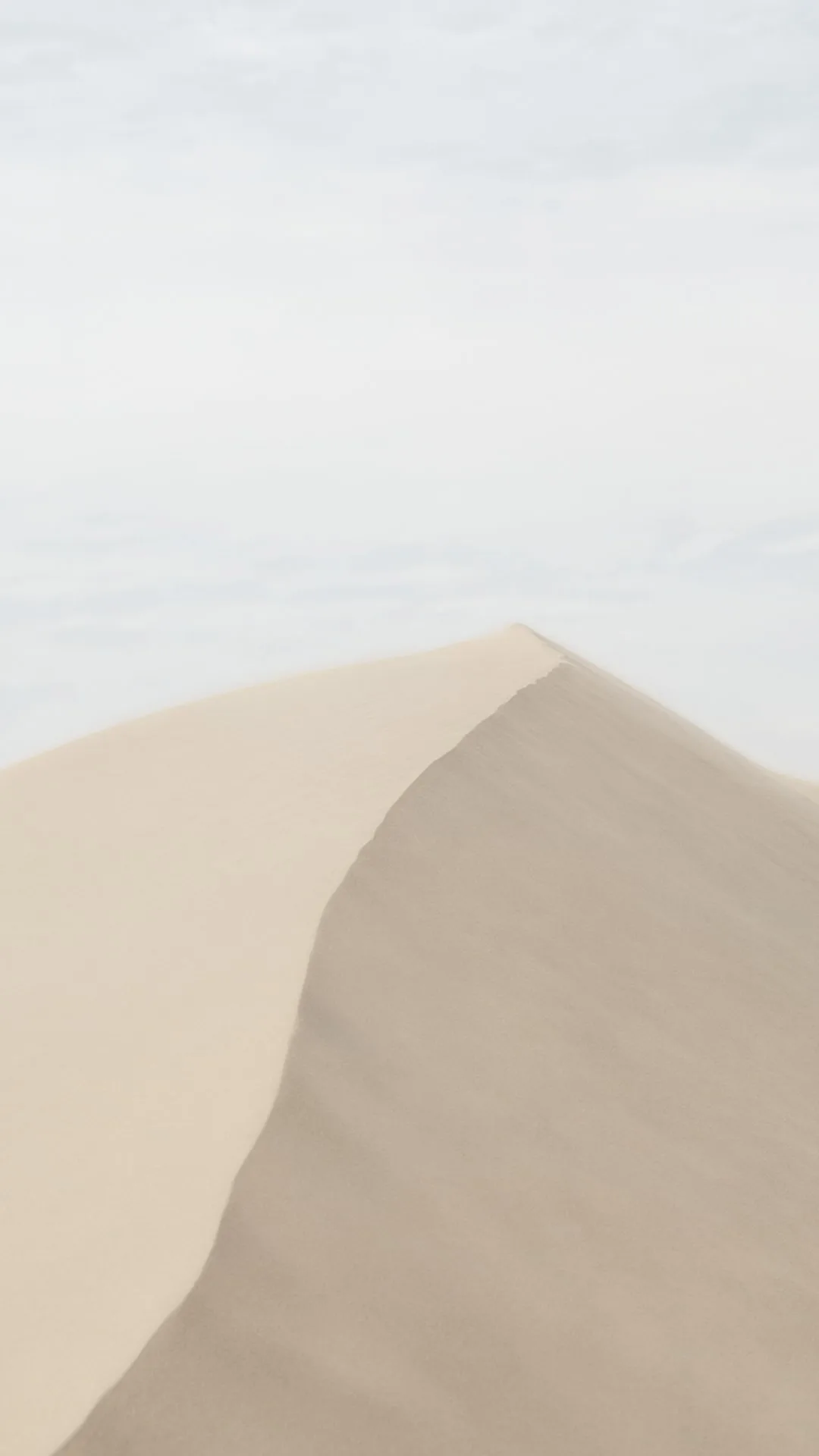 Dune Ridge แบบมินิมอลในพาเลตต์สีอ่อน