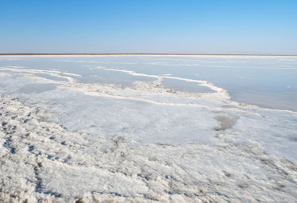 Salt Crystal Shoreline at dawn