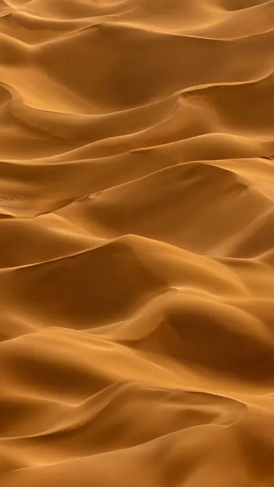 Desert Dune Abstract ในพาเล็ตสีลึก