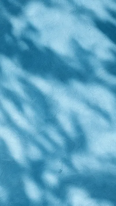 Leaf Shadow On Wall in a cool palette