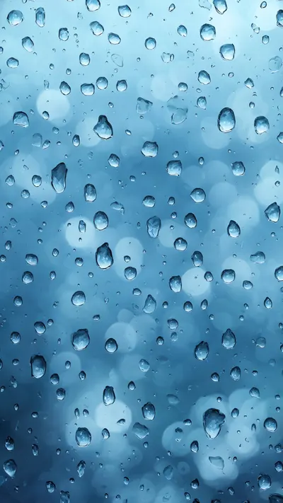 Rain On Glass Bokeh
