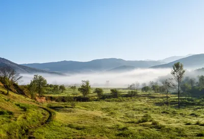 Sunlit Mist In A Valley
