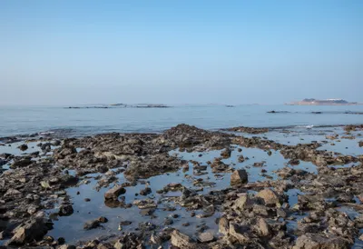Tide Pools On A Rocky Shore in winter