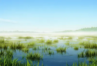 Fog Over A Marsh Digital Illustration