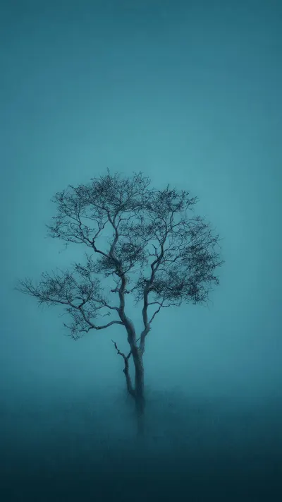 Minimal Single Tree in a deep palette