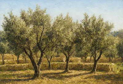 Olive Grove On Terraces in winter Oil Painting