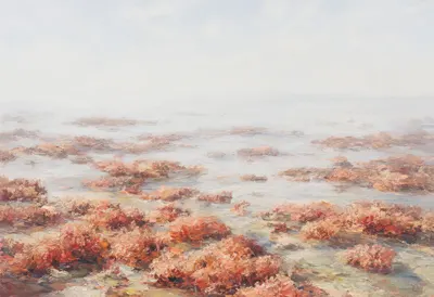 Coral Reef Shallows in soft mist Oil Painting