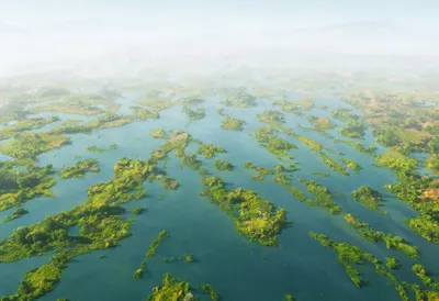 River Delta From Above in soft mist Digital Illustration
