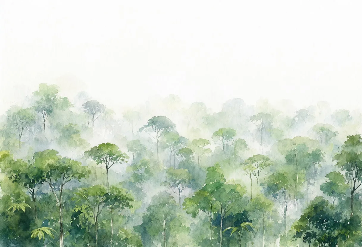 Cloud Forest Canopy at dawn Watercolour