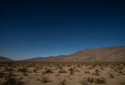 Desert Night Sky