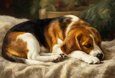 Beagle Puppy curled on a blanket Oil Painting