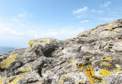 Lichen On Granite ในฤดูหนาว Digital Illusion