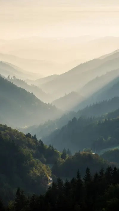 Misty Mountain Valley At Sunrise