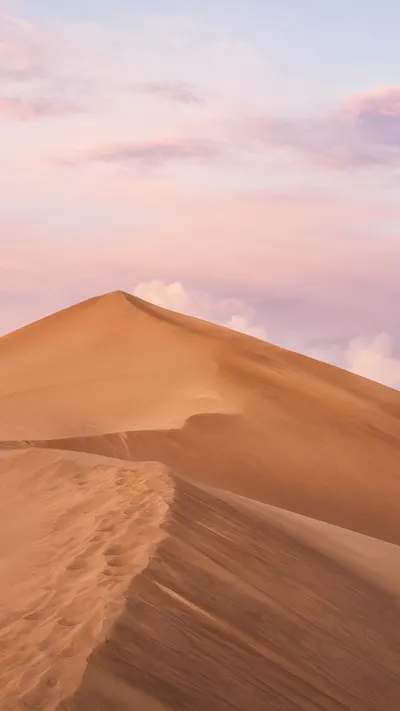 Desert Dune Ridge Under A Pastel Sky in watercolour