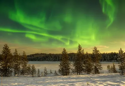 Aurora over Snowy Pines at Dusk