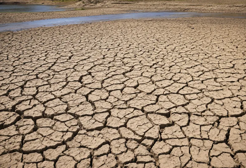 Cracked Reservoir Bed under Hard Sun