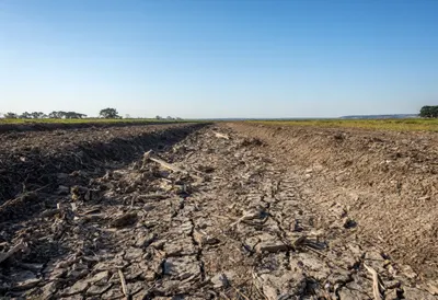 Dried Riverbed through Farmland