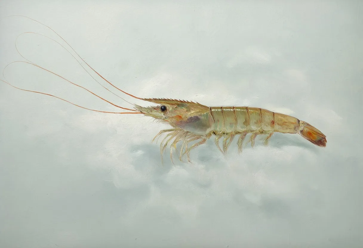 Shrimp in gentle mist Oil Painting