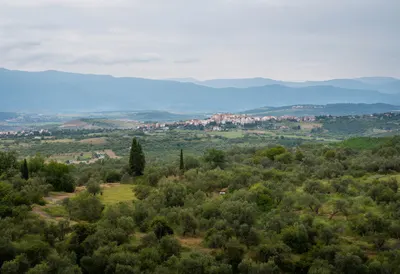 Olive Grove Hills With A Distant Village in the rain