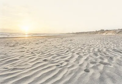 Sand Ripple Patterns at golden hour Pencil Sketch