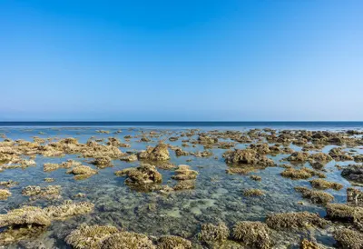 Coral Reef Shallows in winter