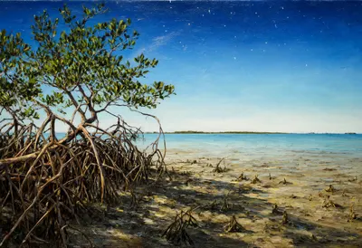 Mangrove Roots At Low Tide under a starry sky Oil Painting