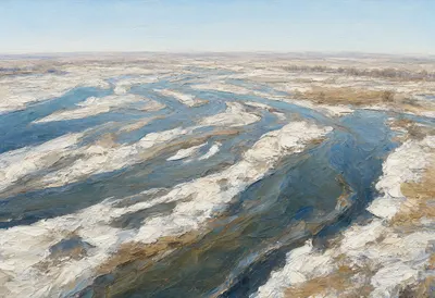 River Delta From Above in winter Oil Painting